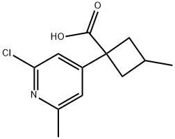 1-(2-氯-6-甲基-4-吡啶基)-3-甲基环丁烷羧酸, 2919097-47-3, 结构式