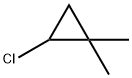 Cyclopropane, 2-chloro-1,1-dimethyl- 结构式