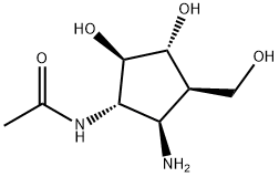 Acetamide, N-[(1S,2R,3R,4R,5R)-2-amino-4,5-dihydroxy-3-(hydroxymethyl)cyclopentyl]- 化学構造式