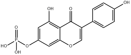 4H-1-Benzopyran-4-one, 5-hydroxy-3-(4-hydroxyphenyl)-7-(phosphonooxy)-|