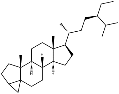 (24R)-24-METHYL-3,5-CYCLOCHOLESTANE AND (24R)-24-ETHYL-3,5-CYCLOCHOLESTANE,38776-72-6,结构式