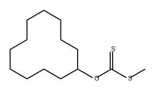 Carbonodithioic acid, O-cyclododecyl S-methyl ester Structure