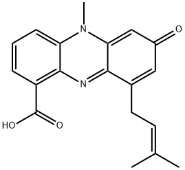 Endophenazine B,479415-40-2,结构式