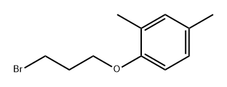 Benzene, 1-(3-bromopropoxy)-2,4-dimethyl-,50912-61-3,结构式