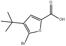 2-Furancarboxylic acid, 5-bromo-4-(1,1-dimethylethyl)- 结构式