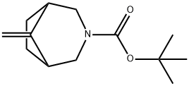 tert-butyl 8-methylene-3-azabicyclo[3.2.1]octane-3-carboxylate Struktur