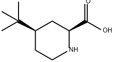 顺式-4-(叔丁基)哌啶-2-甲酸, 69081-81-8, 结构式