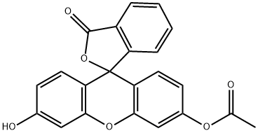 7262-41-1 荧光素杂质1