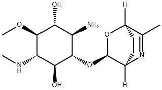 1-Amino-1,4-dideoxy-5-O-methyl-4-(methylamino)-2-O-[(1R,4R)-6-methyl-2-oxa-5-azabicyclo[2.2.2]oct-5-en-3α-yl]-D-scyllo-inositol Struktur