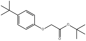 Acetic acid, 2-[4-(1,1-dimethylethyl)phenoxy]-, 1,1-dimethylethyl ester 结构式