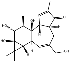 5H-Cyclopropa[3,4]benz[1,2-e]azulen-5-one, 1,1a,1b,4,4a,7a,7b,8,9,9a-decahydro-7b,9,9a-trihydroxy-3-(hydroxymethyl)-1,1,6,8-tetramethyl-, (1aR,1bS,4aS,7aR,7bR,8R,9R,9aS)- Structure