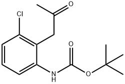 Carbamic acid, [3-chloro-2-(2-oxopropyl)phenyl]-, 1,1-dimethylethyl ester (9CI)