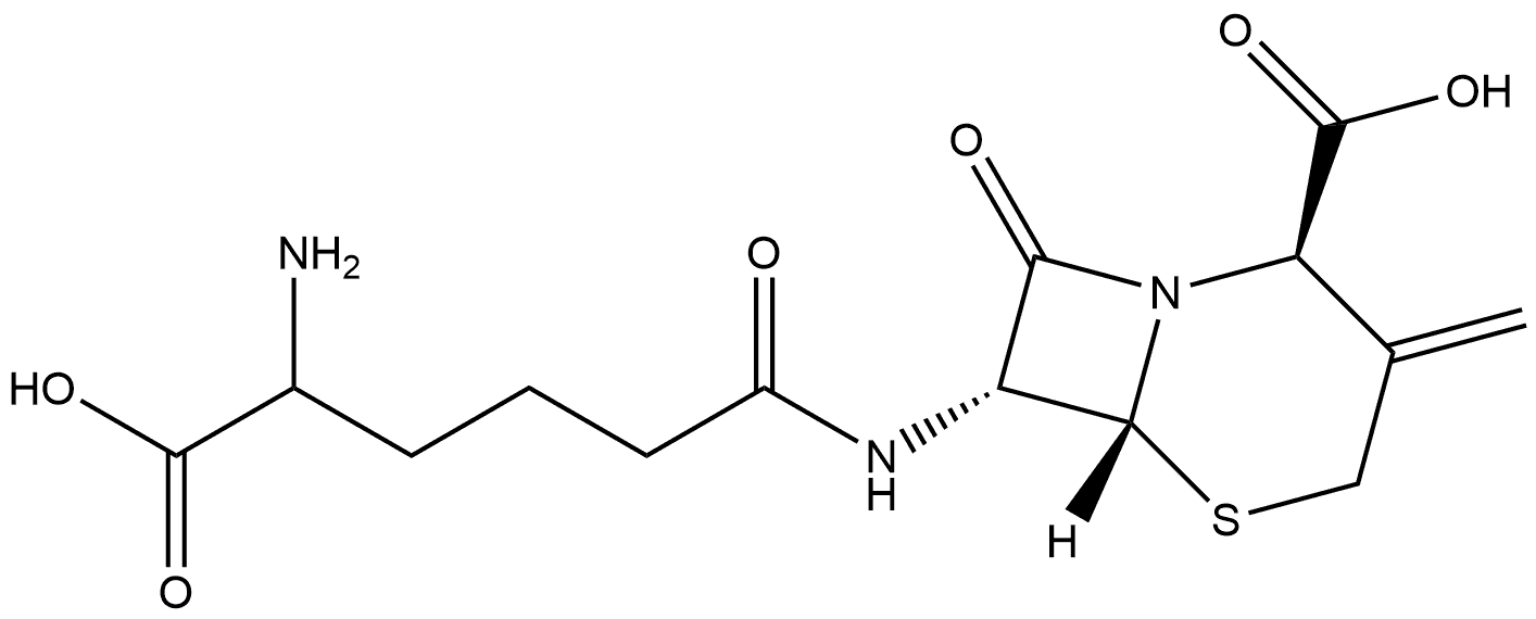 5-Thia-1-azabicyclo[4.2.0]octane-2-carboxylic acid, 7-[(5-amino-5-carboxy-1-oxopentyl)amino]-3-methylene-8-oxo-, [2R-[2α,6α,7β(R*)]]- (9CI) 化学構造式