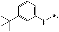 Hydrazine, [3-(1,1-dimethylethyl)phenyl]- 结构式