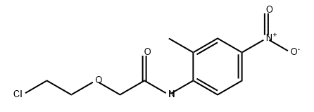 Acetamide, 2-(2-chloroethoxy)-N-(2-methyl-4-nitrophenyl)- Structure