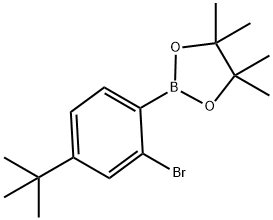 1,3,2-Dioxaborolane, 2-[2-bromo-4-(1,1-dimethylethyl)phenyl]-4,4,5,5-tetramethyl-|2-(2-BROMO-4-(TERT-BUTYL)PHENYL)-4,4,5,5-TETRAMETHYL-1,3,