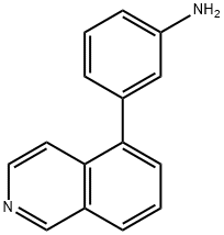 3-(Isoquinolin-5-yl)aniline Structure