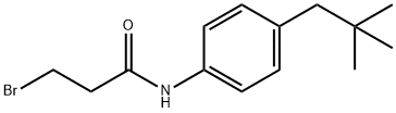 Propanamide, 3-bromo-N-[4-(2,2-dimethylpropyl)phenyl]- Struktur