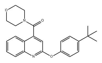 (2-(4-(叔丁基)苯氧基)喹啉-4-基)(吗啉)甲酮,869872-50-4,结构式