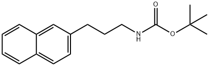 Carbamic acid, N-[3-(2-naphthalenyl)propyl]-, 1,1-dimethylethyl ester Structure