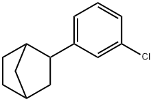Bicyclo[2.2.1]heptane, 2-(3-chlorophenyl)-,884508-69-4,结构式