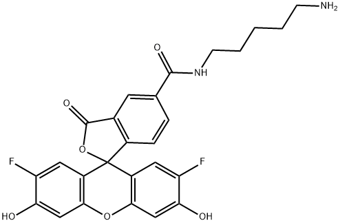 Spiro[isobenzofuran-1(3H),9'-[9H]xanthene]-5-carboxamide, N-(5-aminopentyl)-2',7'-difluoro-3',6'-dihydroxy-3-oxo-,886210-16-8,结构式