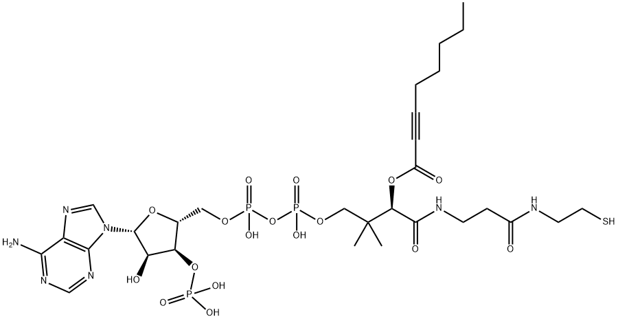 2-octynoyl-coenzyme A Structure