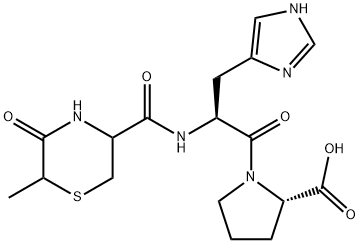 CNK 6004 Structure