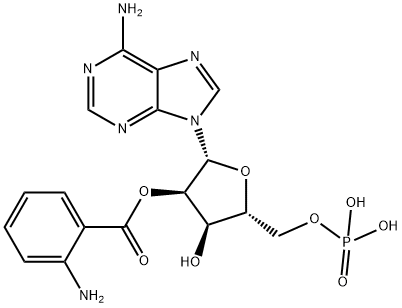 2'-O-anthraniloyl AMP Structure