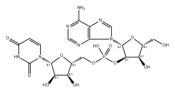 uridylyl(5'->2')adenosine  Struktur