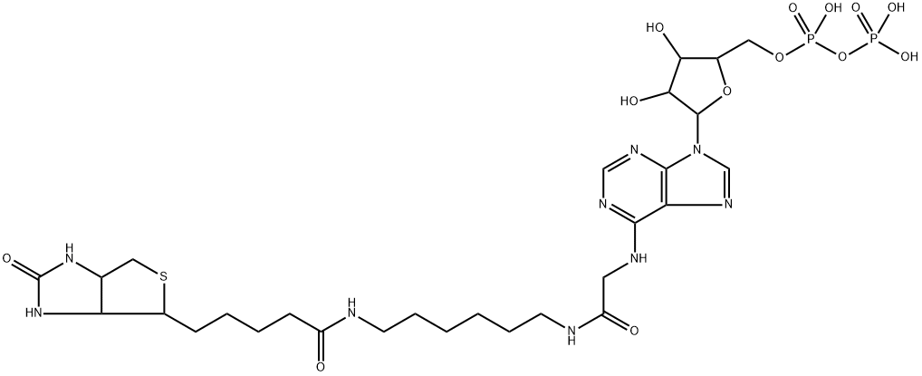 biotinyl-adenoside diphosphate|