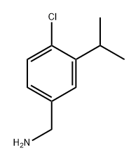 4-Chloro-3-(propan-2-yl)phenyl]methanamine Structure