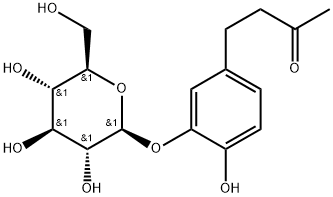 Myzodendrone Structure