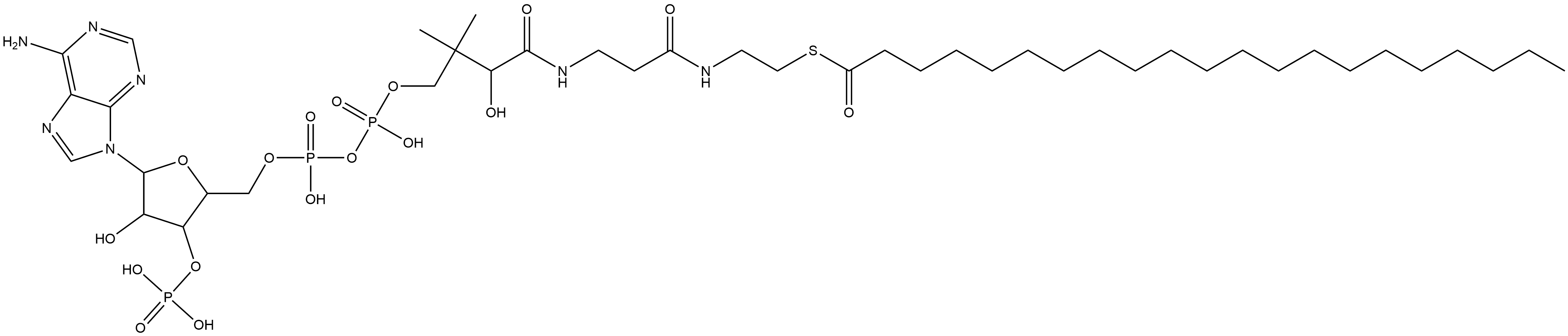 Coenzyme A, S-heneicosanoate (9CI) Structure