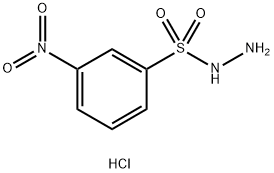 Benzenesulfonic acid, 3-nitro-, hydrazide, hydrochloride (1:1) Struktur