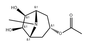 (1R,3s,5S,6S,7R)-6,7-Dihydroxy-8-methyl-8-azabicyclo[3.2.1]octan-3-yl acetate|