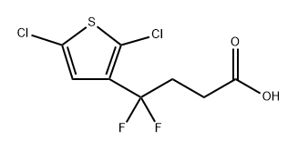 4-(2,5-dichlorothiophen-3-yl)-4,4-difluorobutanoic acid Structure
