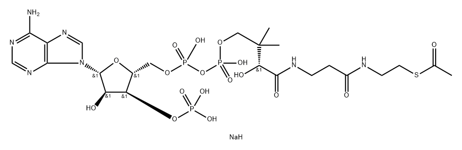 coenzyme A acetyl derivative, disodium salt 化学構造式