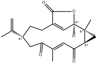 Gersolide Structure
