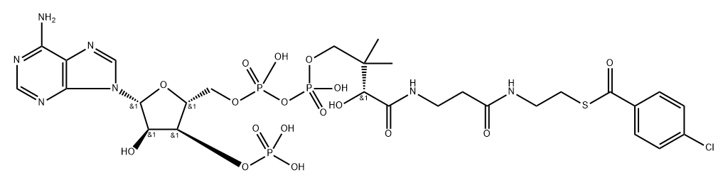 4-クロロベンゾイル-CoA 化学構造式