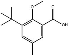 3-(1,1-Dimethylethyl)-2-methoxy-5-methylbenzoic acid|