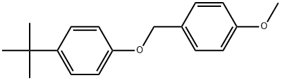 1-(1,1-Dimethylethyl)-4-[(4-methoxyphenyl)methoxy]benzene Structure