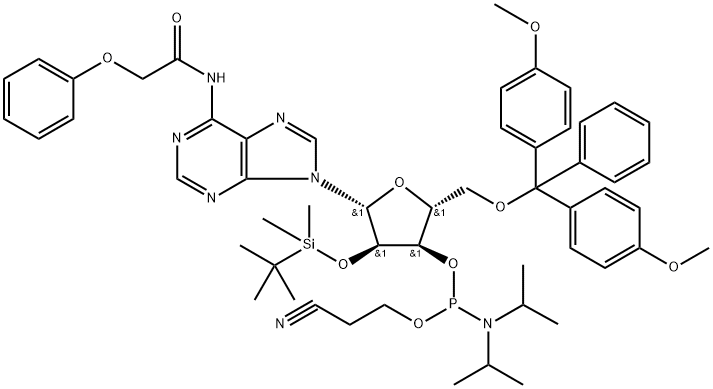 N-blocked-5'-O-DMT-2'-O-TBDMS CED adenosine phosphoramidit 化学構造式