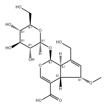 9-epi-6-Methoxygeniposidic acid Struktur