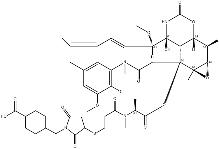 MCC-DM1 Struktur