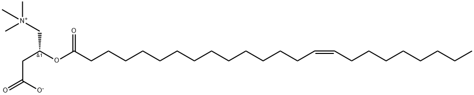 1-Propanaminium, 3-carboxy-N,N,N-trimethyl-2-[[(15Z)-1-oxo-15-tetracosen-1-yl]oxy]-, inner salt, (2R)- 结构式