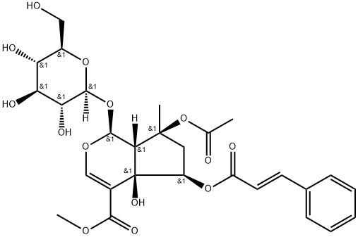 6-O-trans-シンナモイルフロリギドシドB