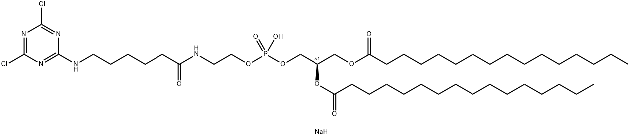 1,2-dipalMitoyl-sn-glycero-3-phosphoethanolaMine-N-{6-[(cyanur)aMino]hexanoyl} (sodiuM salt) 化学構造式