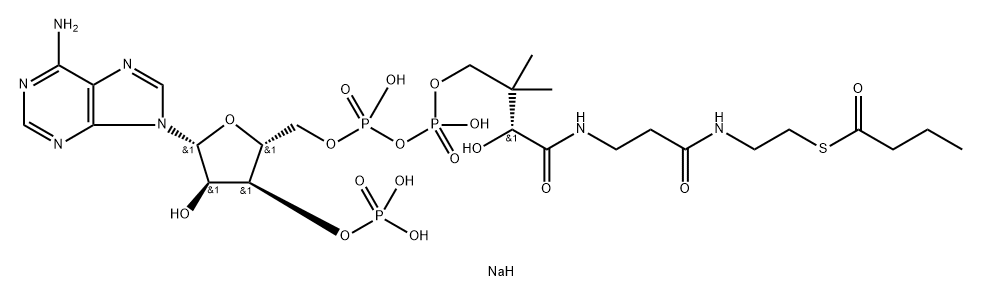 Butyryl Coenzyme A (sodium salt) Structure