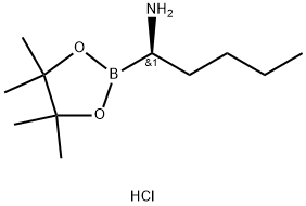 (R)-1-(4,4,5,5-Tetramethyl-1,3,2-dioxaborolan-2-yl)pentan-1-amine hydrochloride Structure